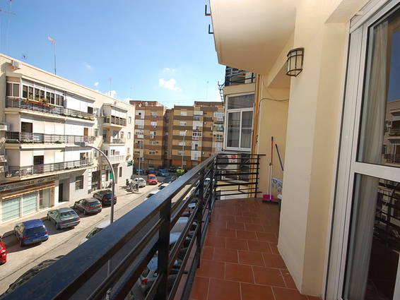 Kolokasie Sevilla 35846-4