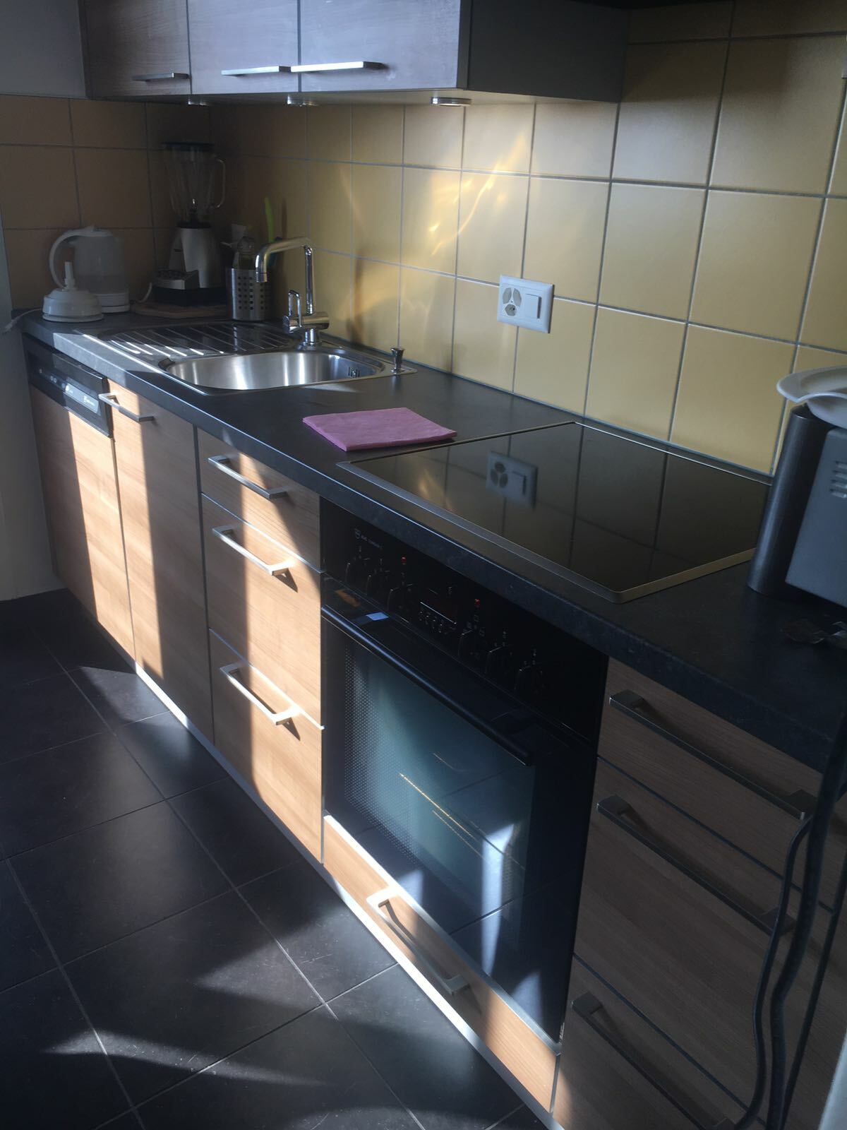 Gastfamilie Renens 221786