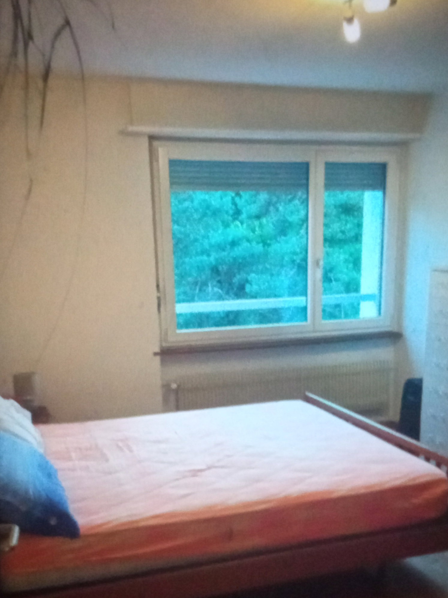 Chambre Chez L'habitant Dietikon 677150
