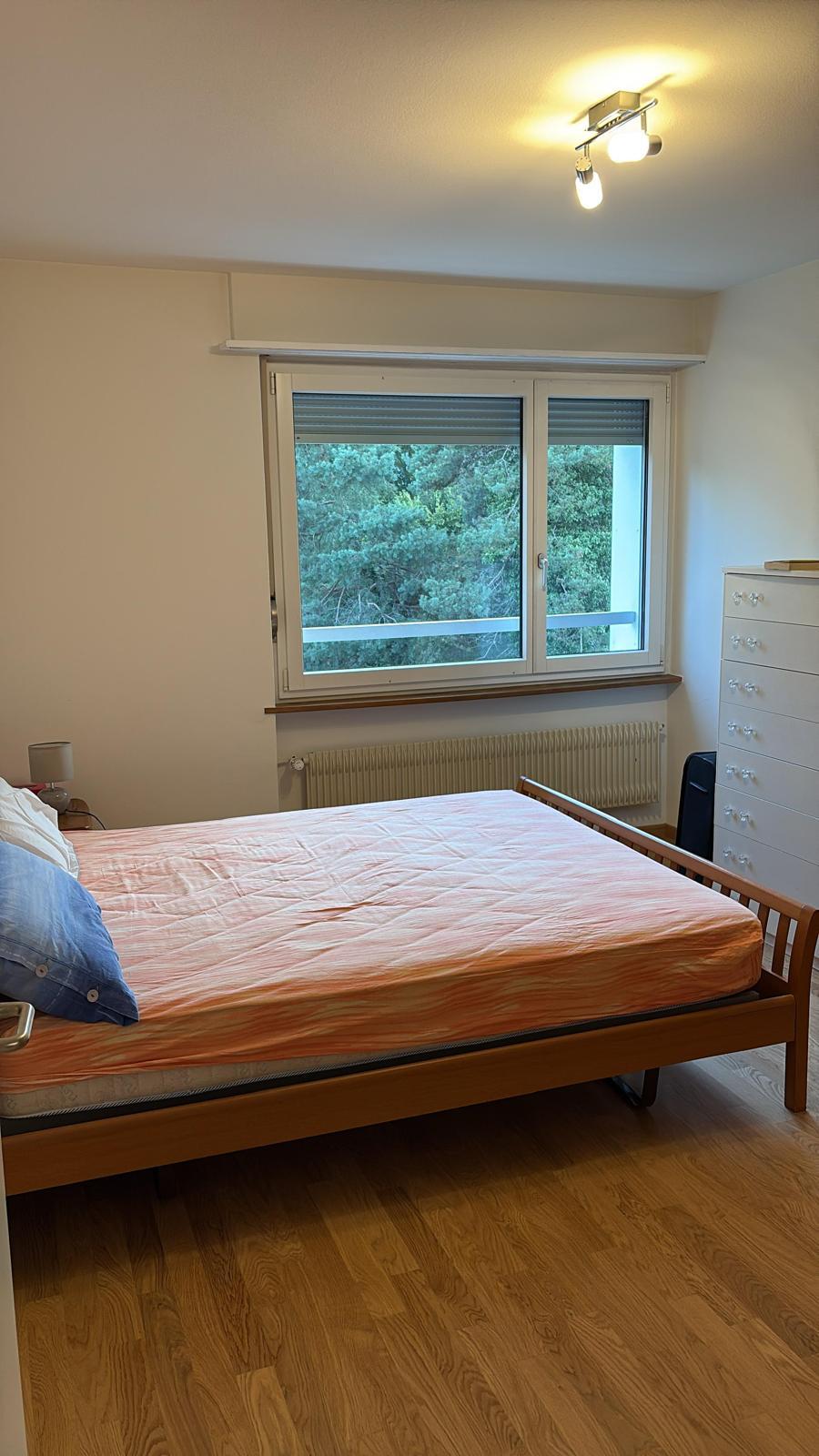 Chambre Chez L'habitant Dietikon 677150