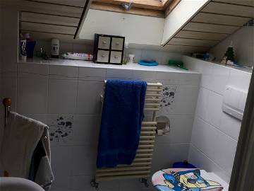 Chambre chez l'habitant à louer à Etoy - photo 4 : salle de bain-4