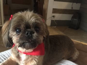 Chambre Chez L'habitant Fort Lauderdale 226020-7