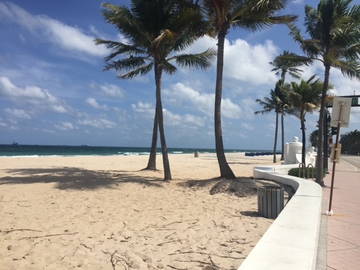 Chambre Chez L'habitant Fort Lauderdale 226020-8