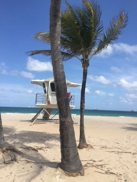Homestay Fort Lauderdale 226020