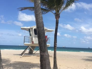 Chambre Chez L'habitant Fort Lauderdale 226020-9
