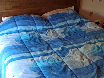 Chambre Chez L'habitant Fougerolles 100744