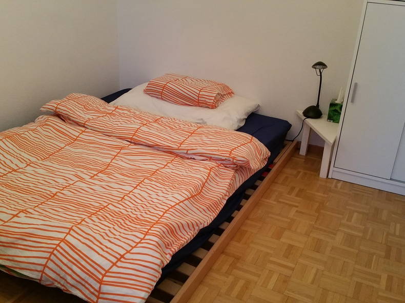 Colocación Fribourg 103904-1