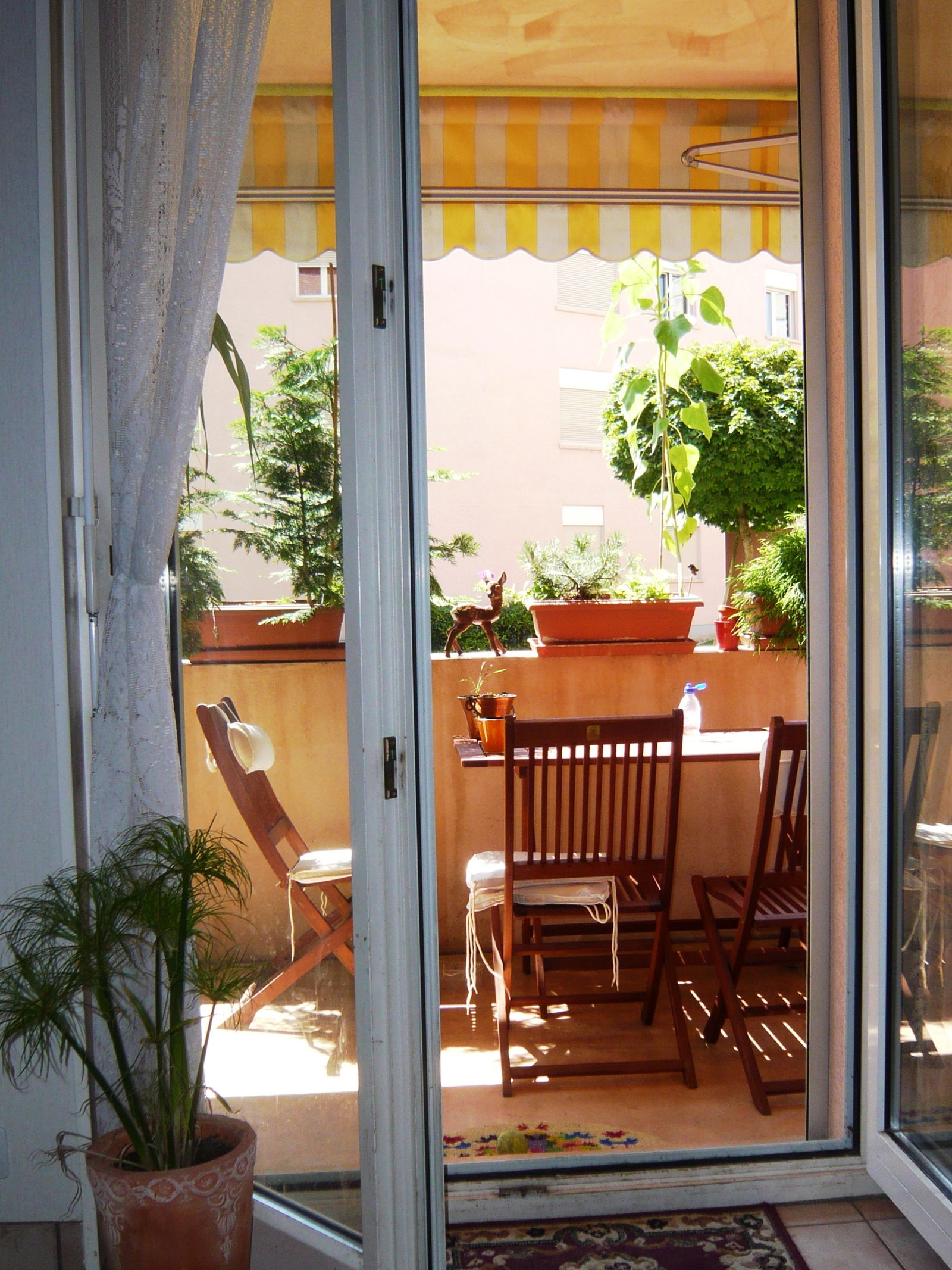 Chambre Chez L'habitant Onex 244020