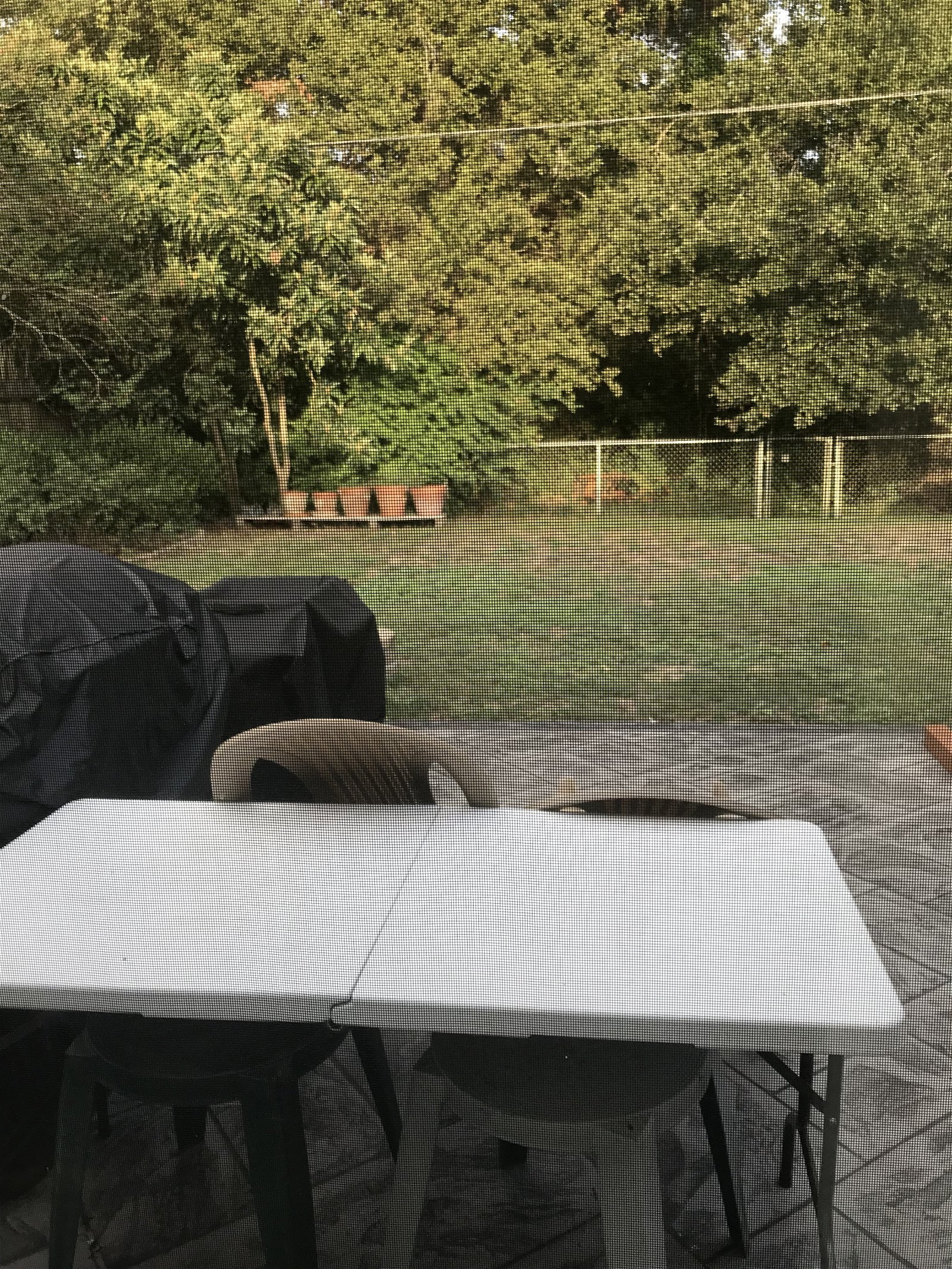 Chambre Chez L'habitant Houston 258491