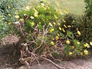 Quedarse En Casa Saint-Frégant 51507-3