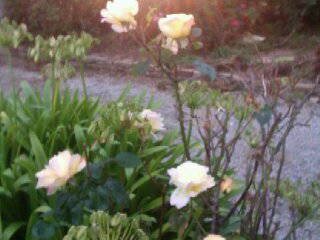 Quedarse En Casa Saint-Frégant 51507-4