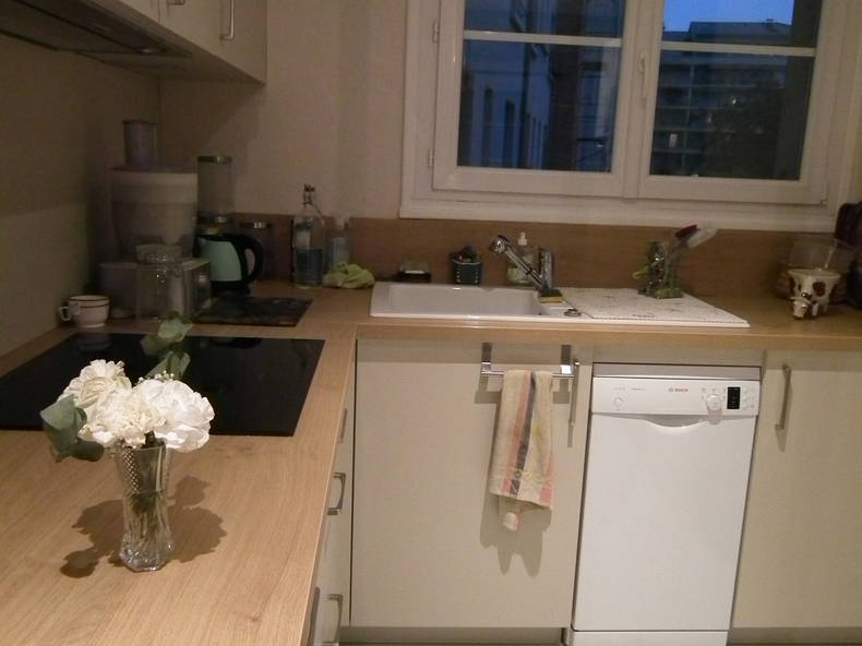 Chambre Chez L'habitant Lyon 222183-4