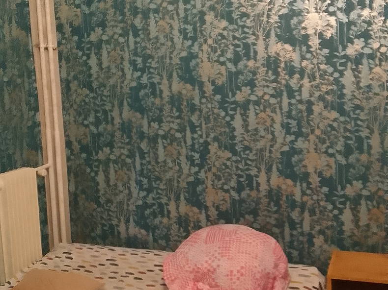 Colocation La Ferté-sous-Jouarre 377659-5