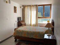 Colocación La Séauve-sur-Semène 410796-1