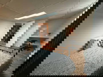 Colocation Lévis 659858-1