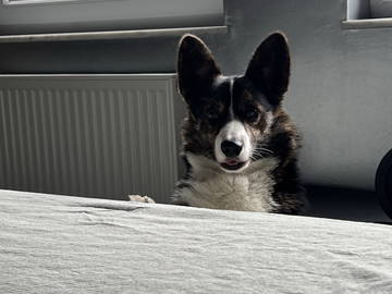 Colocation Herstal 577673-16