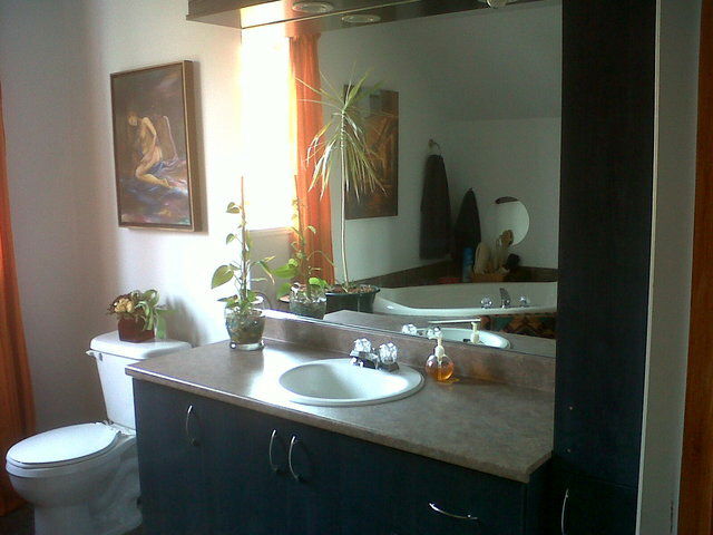 Chambre Chez L'habitant Mirabel 59060