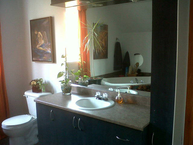 Chambre Chez L'habitant Mirabel 59060-3