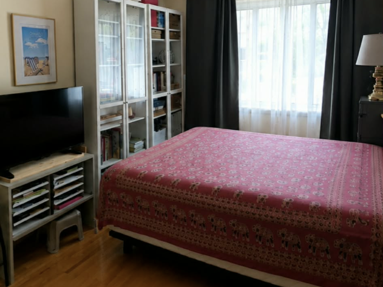 Colocation Montréal 228492-5