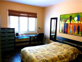 Room For Rent In Montreal Near UdeM