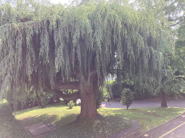 Chambre Chez L'habitant Clarens 60019-7