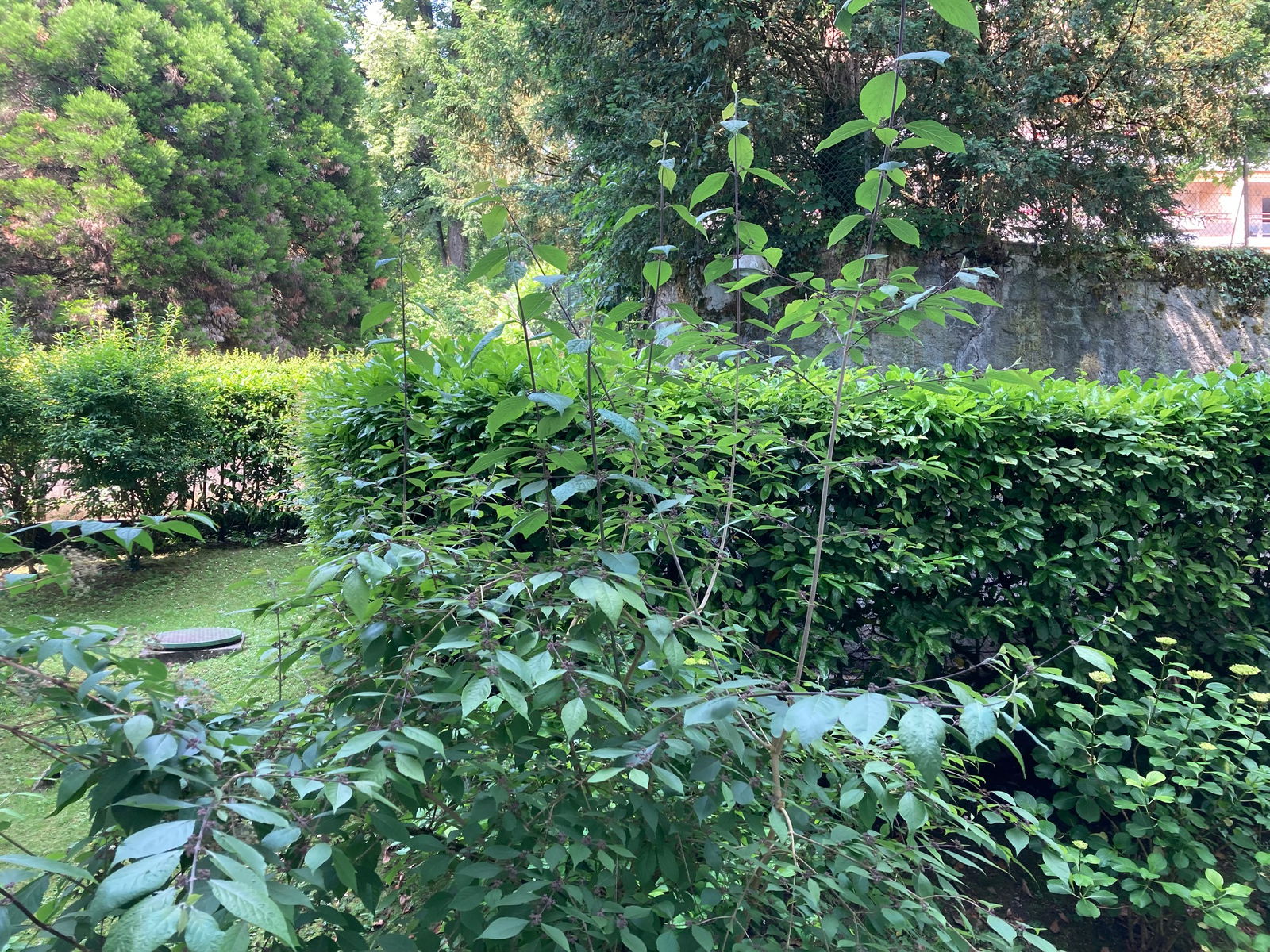 Hemvistelse Clarens 60019