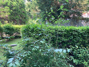 Chambre Chez L'habitant Clarens 60019-8