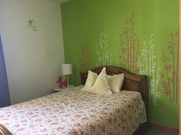 Chambre Chez L'habitant Mulhouse 412721-1
