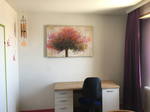 Chambre Chez L'habitant Mulhouse 412721