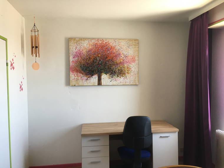 Chambre Chez L'habitant Mulhouse 412721