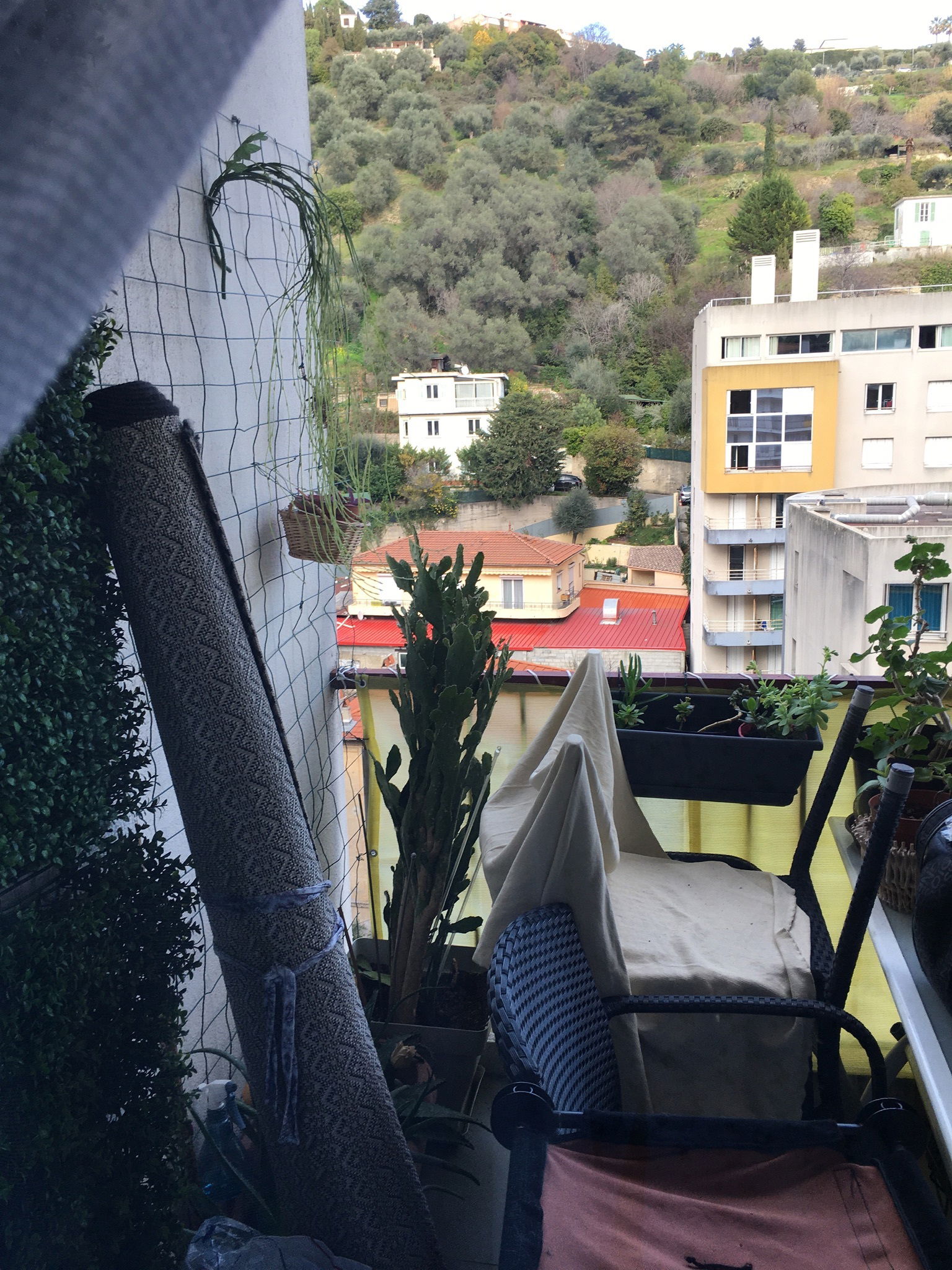 Chambre Chez L'habitant Nice 246724