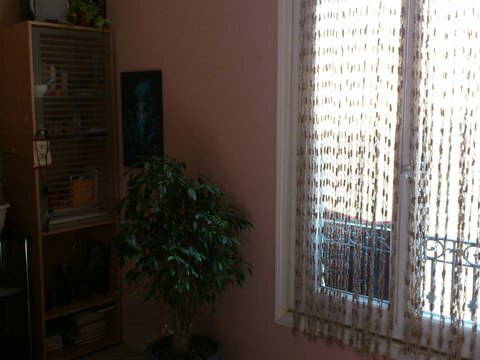 Chambre Chez L'habitant Nice 43589-1