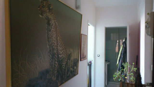 Chambre Chez L'habitant Nice 43589