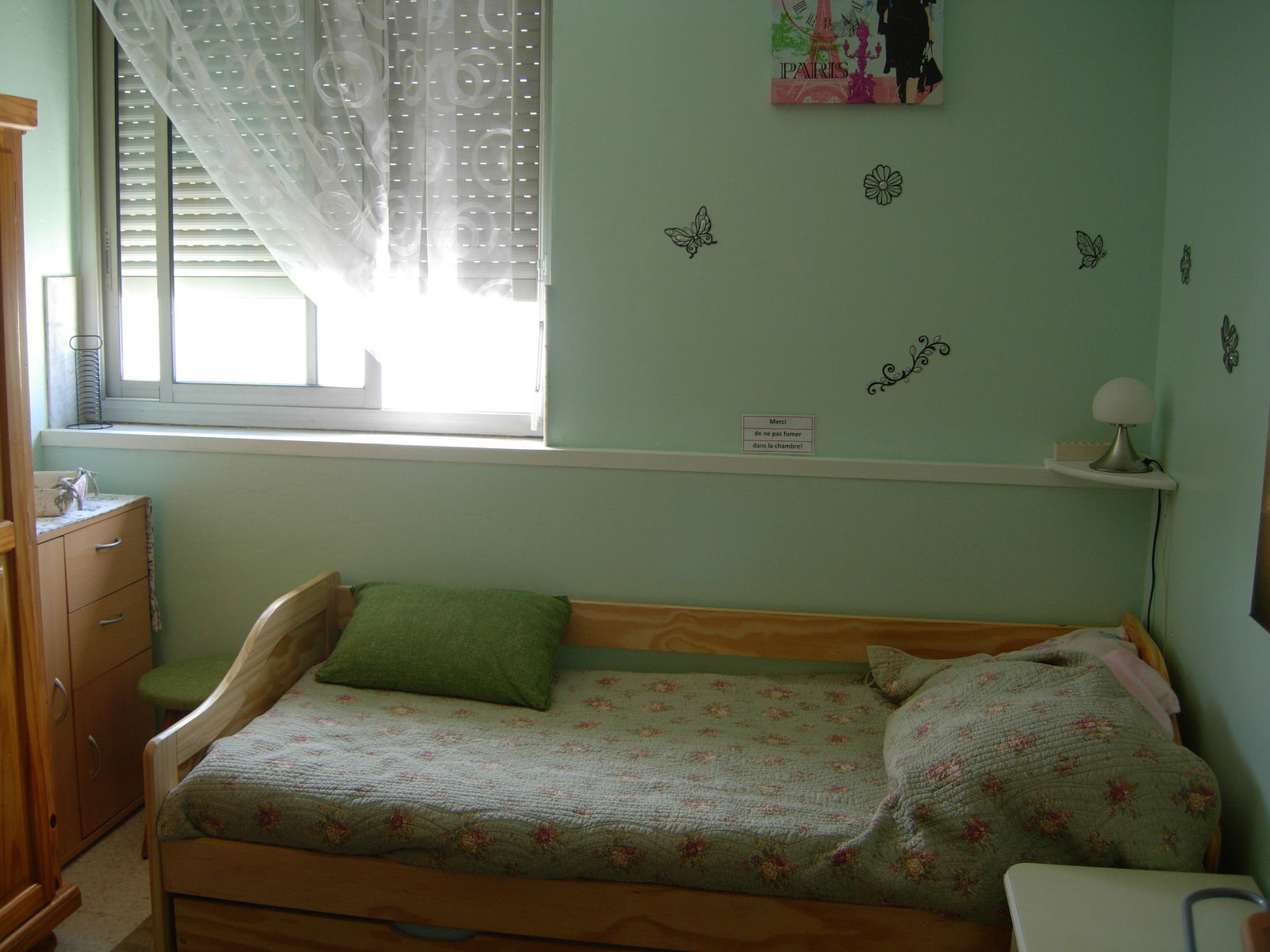 Chambre Chez L'habitant Nice 118258