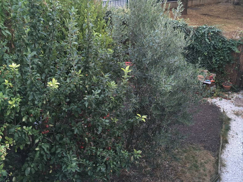 Chambre Chez L'habitant Noisy-le-Sec 242297-2