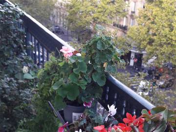 Room For Rent Paris 242840-1