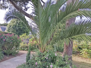 Homestay for rent in Ploemeur - photo 6: Garden-6