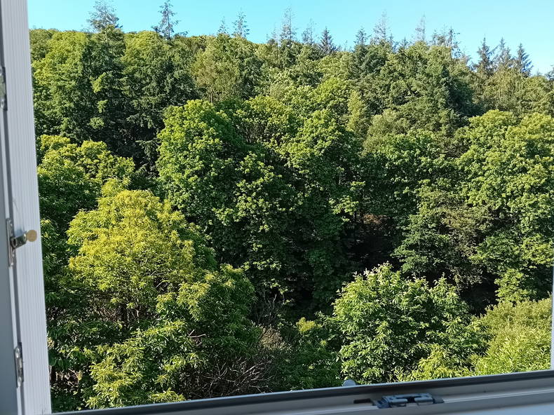 Gastfamilie Plonéis 657125-4