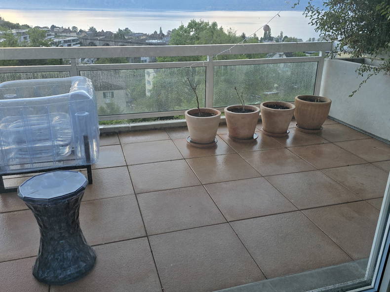 Coliving Pully 617951-2