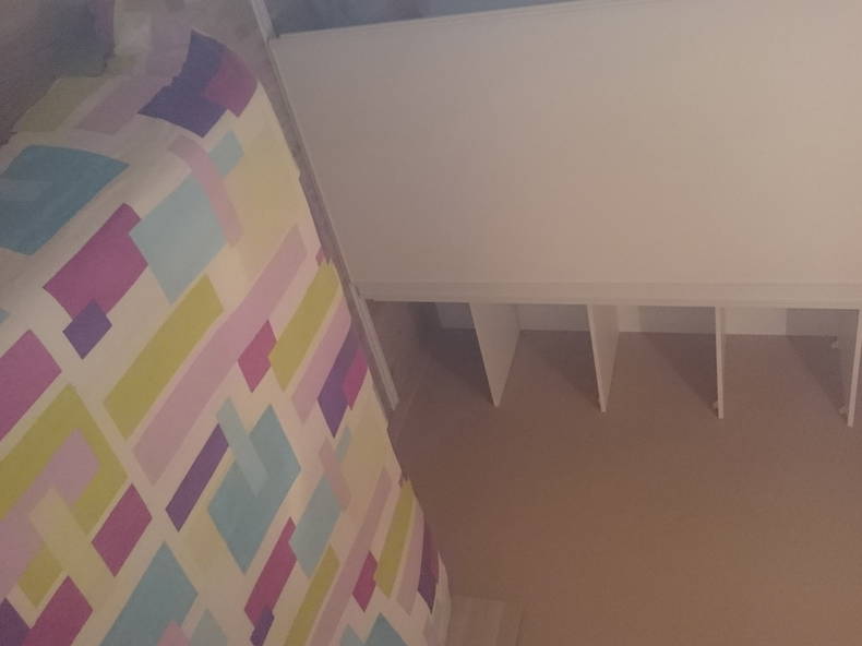 Gastfamilie Quint-Fonsegrives 117242-2