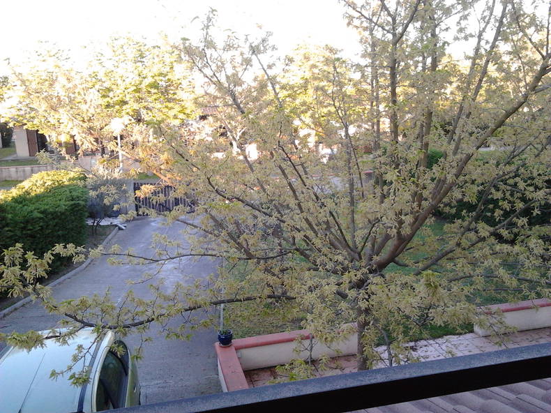 Chambre Chez L'habitant Colomiers 70120-3