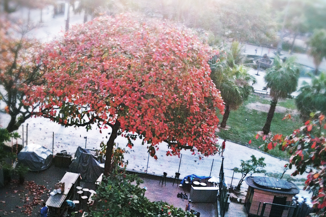 Chambres D'hôtes Rio de Janeiro 41560