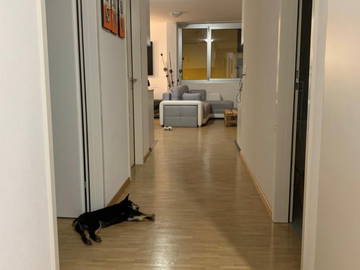 Homestay Genève 479249-5