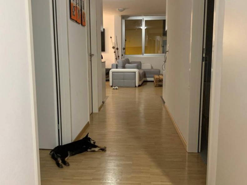 Gastfamilie Genève 479249-5