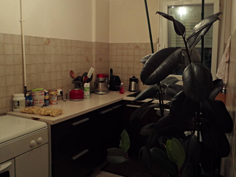 Zakwaterowanie U Rodziny Saint-Laurent-du-Var 78398-4