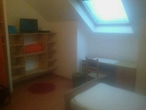 Homestay Orléans 84065-2