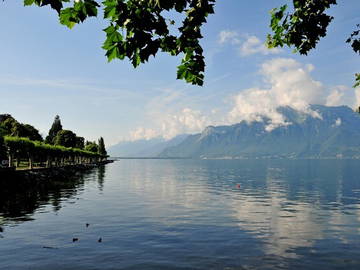 Chambre À Louer Vevey 54230