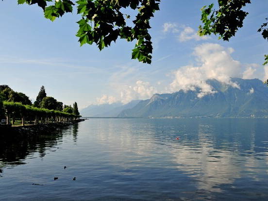 Homestay Vevey 54230