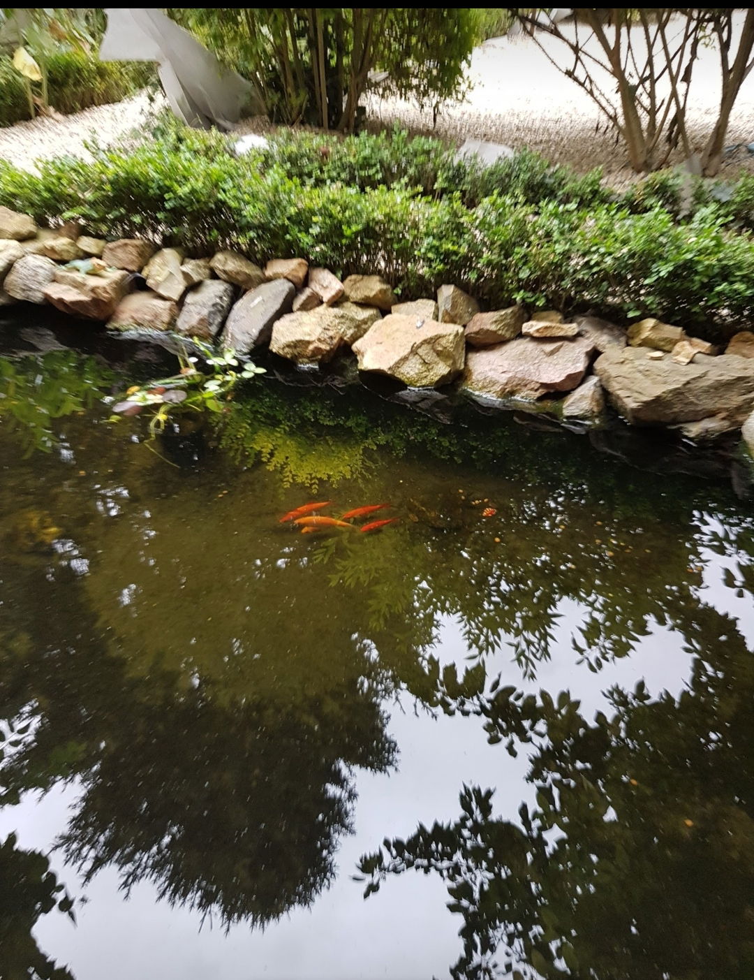 Hospedagem Em Casa De Família Vichy 240115