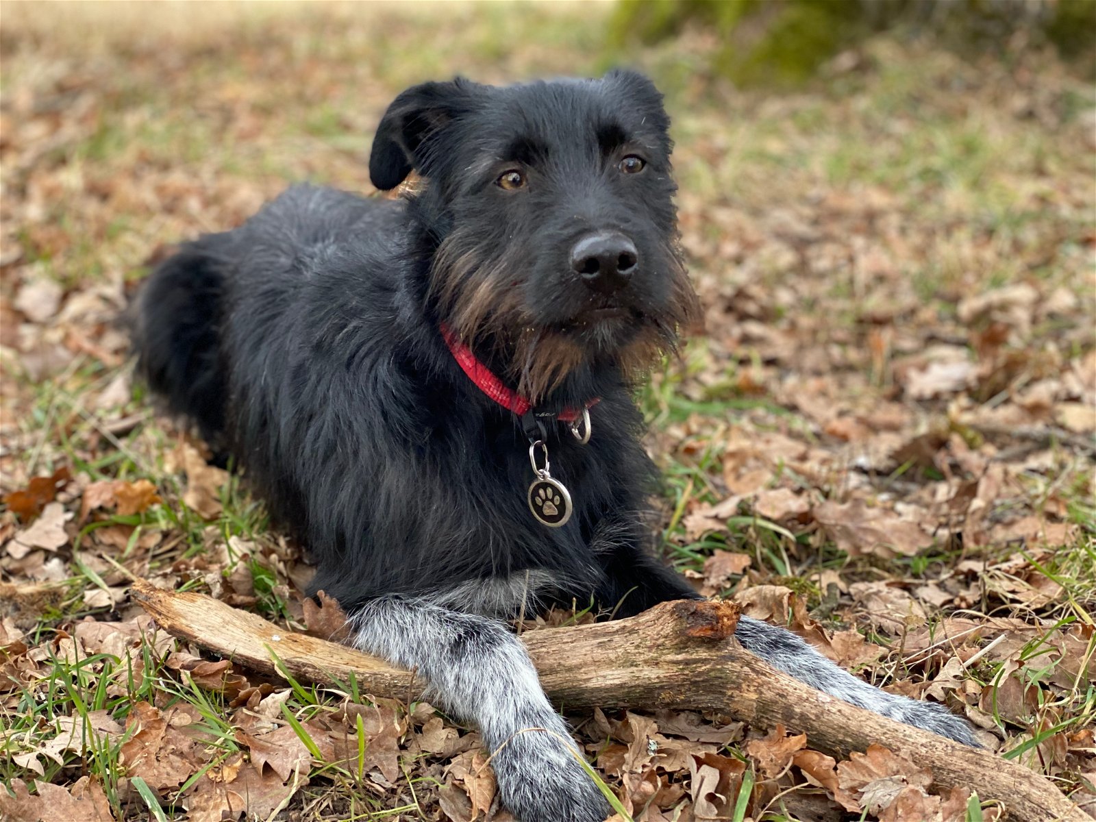 Zakwaterowanie U Rodziny Rances 205408